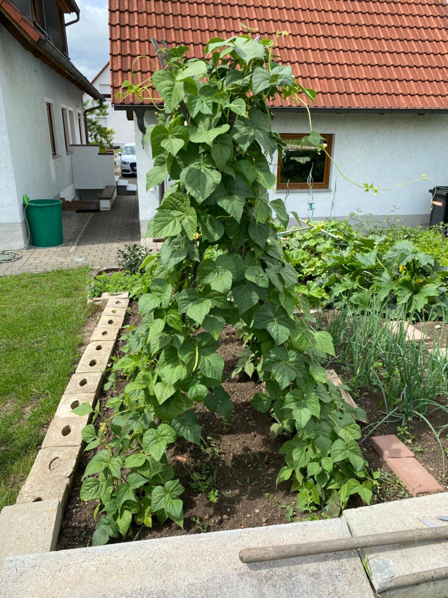 Ferienwohnung Eibenweg Gebsattel エクステリア 写真