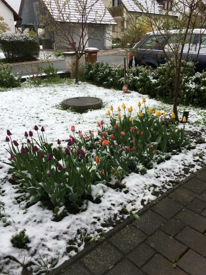Ferienwohnung Eibenweg Gebsattel エクステリア 写真