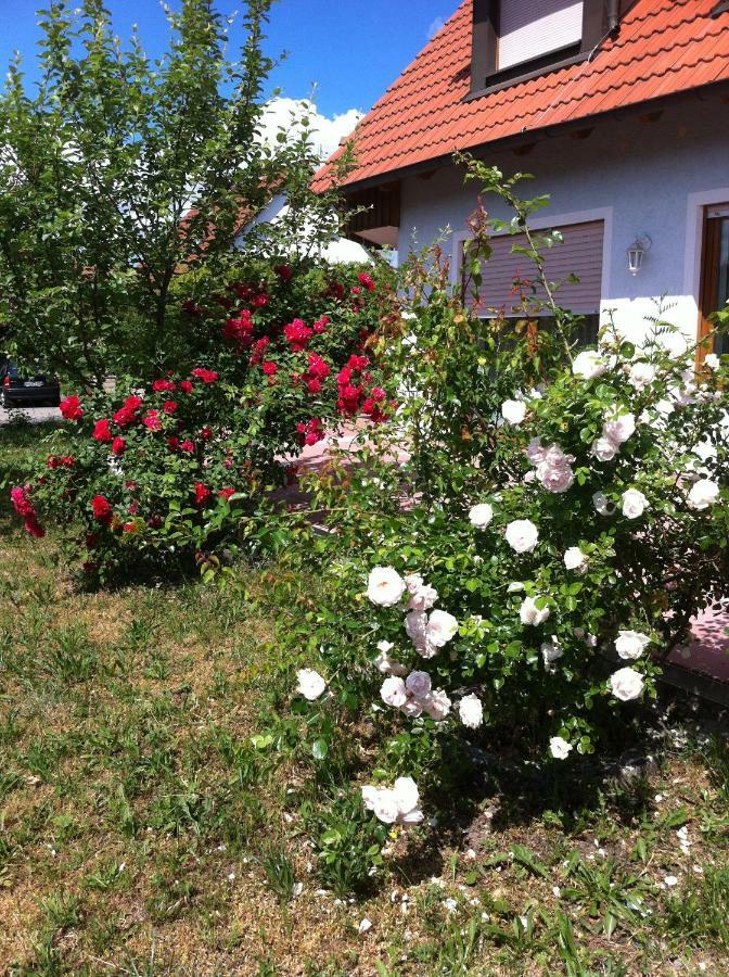 Ferienwohnung Eibenweg Gebsattel エクステリア 写真